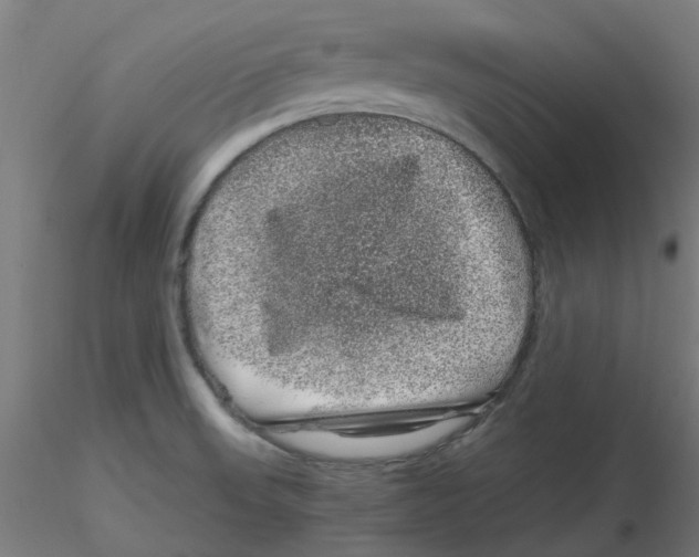 X0000116101523200912211601