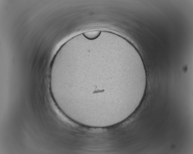 X0000116101526200912211601