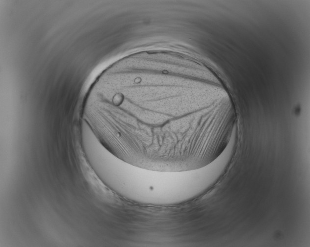 X0000116101530200912211601