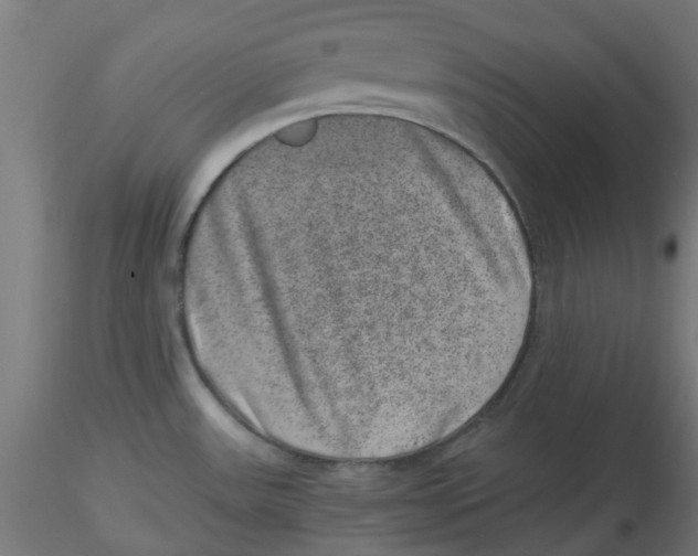 X0000116101531200912211601