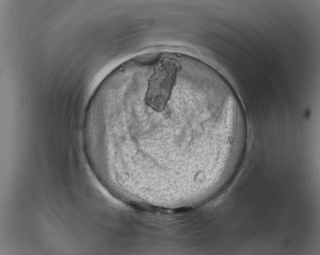 X0000116101533200912211601