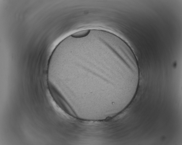 X0000116101534200912211601