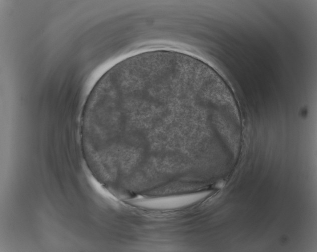 X0000116101535200912211601