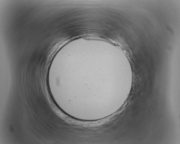 X0000116100001201001041001