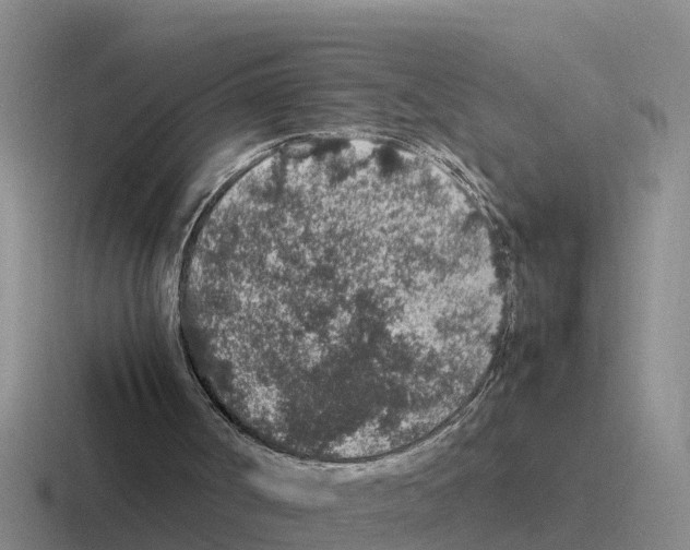 X0000116100002201001041001