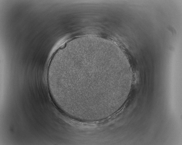 X0000116100004201001041001