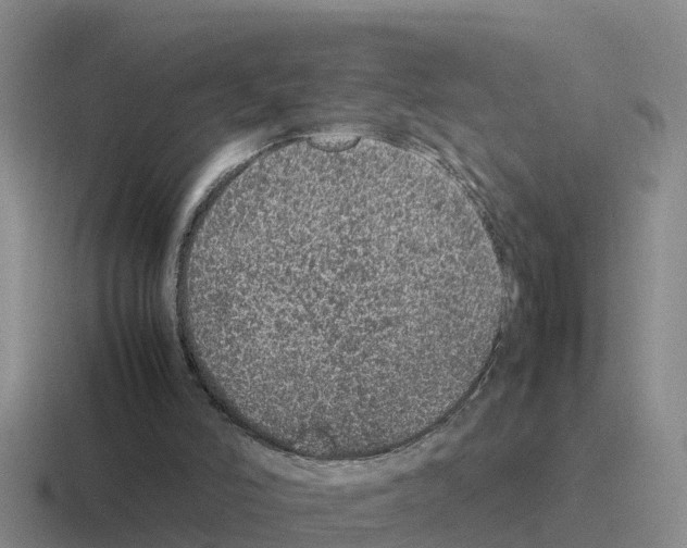 X0000116100006201001041001