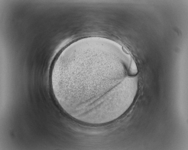 X0000116100008201001041001