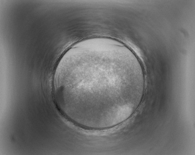 X0000116100009201001041001