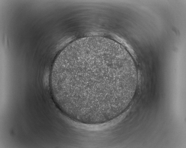 X0000116100010201001041001