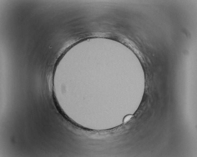 X0000116100011201001041001