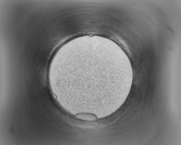 X0000116100012201001041001