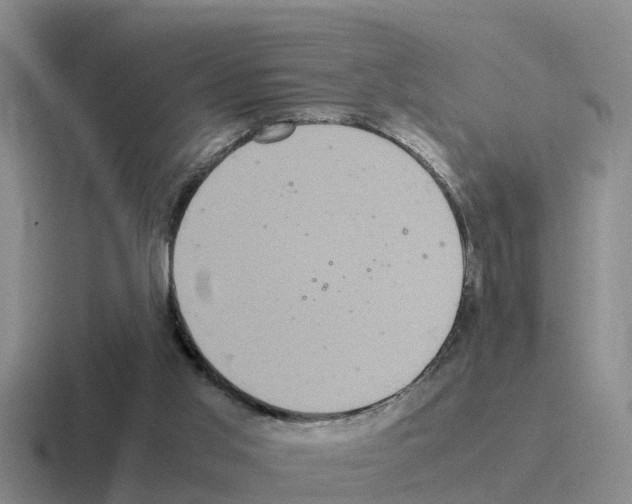 X0000116100013201001041000