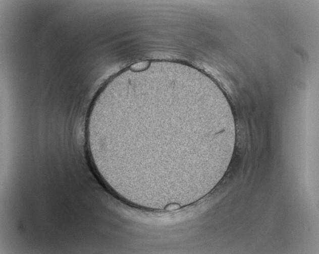 X0000116100015201001041000