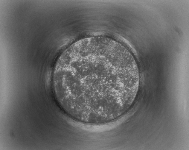 X0000116100018201001041000