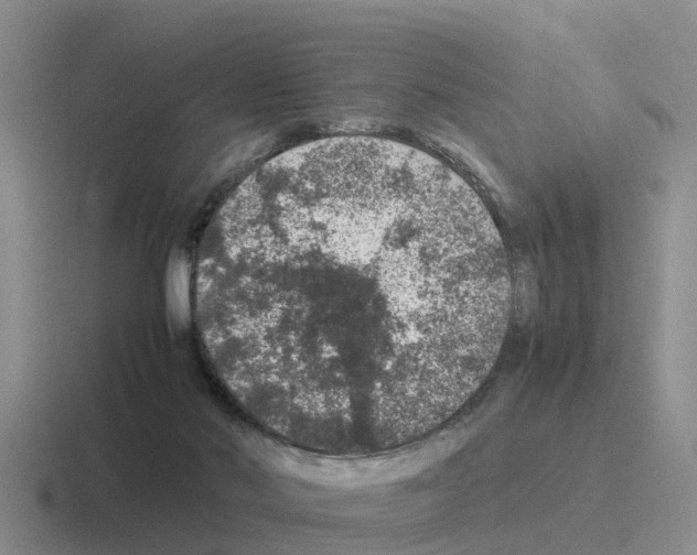 X0000116100022201001041000