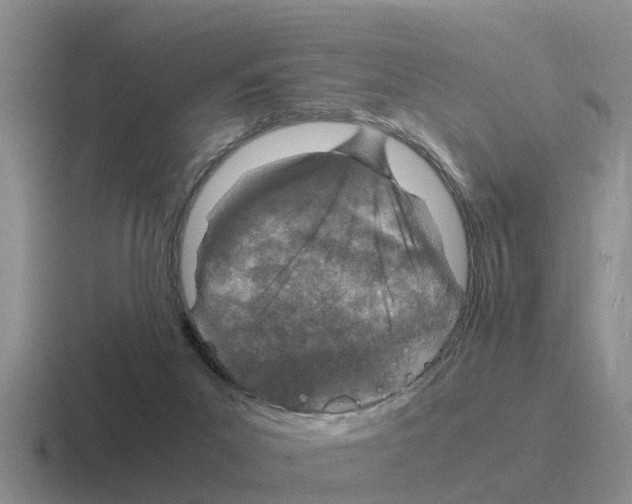 X0000116100023201001041000