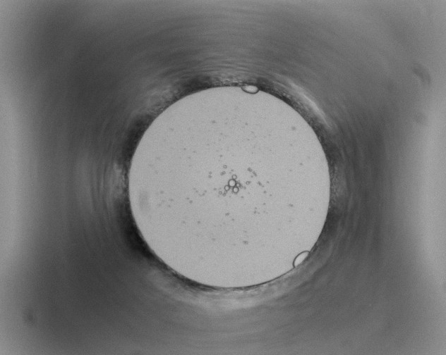 X0000116100025201001041000