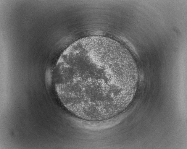 X0000116100026201001041000