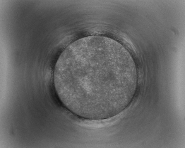 X0000116100029201001041000