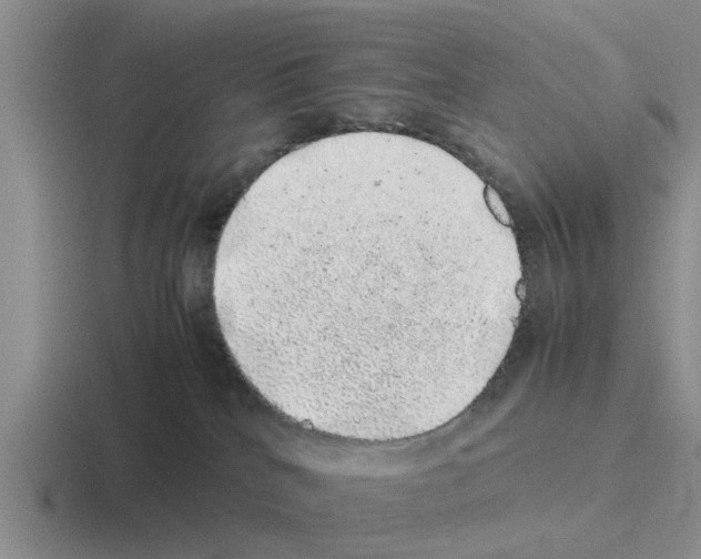 X0000116100040201001041000