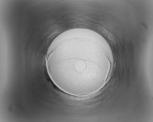 X0000116100043201001041000