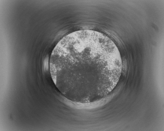 X0000116100046201001041000