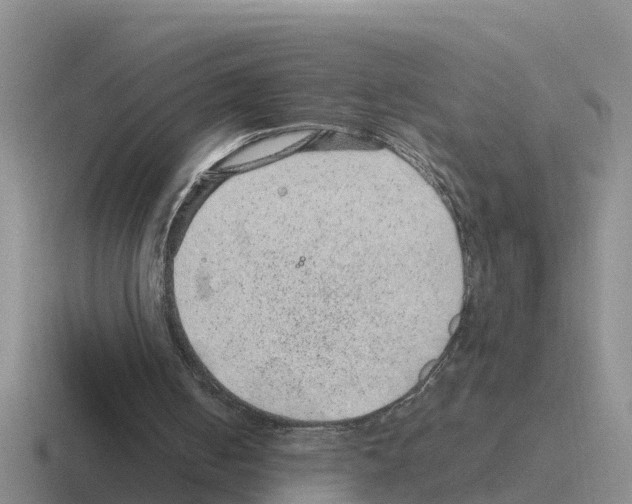 X0000116100050201001040959