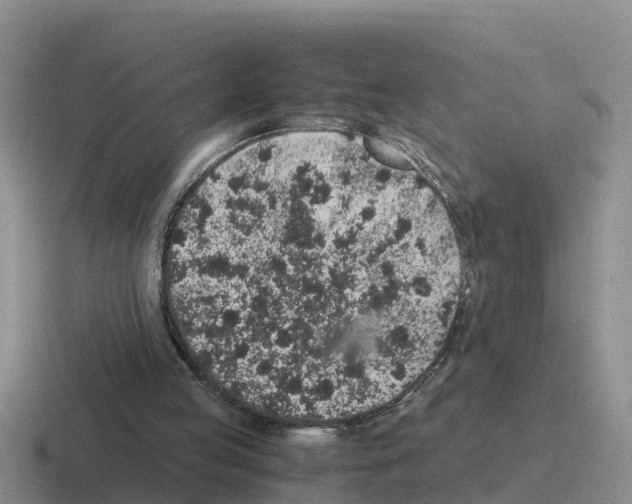 X0000116100053201001040959