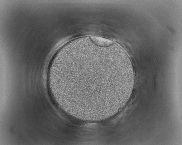 X0000116100055201001041000