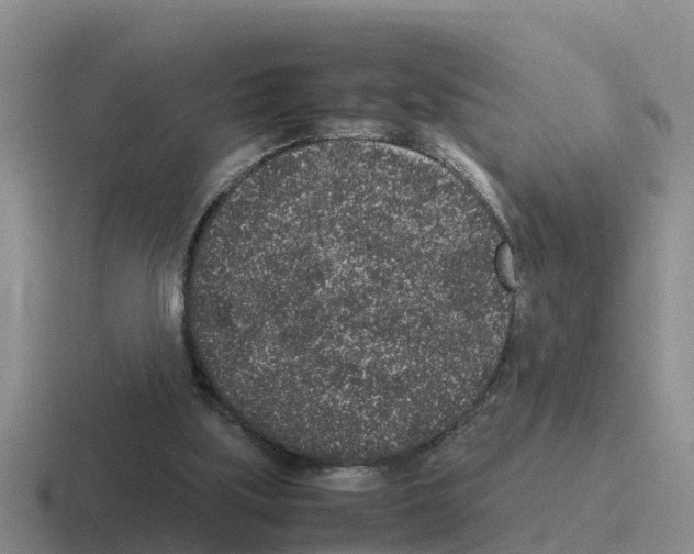 X0000116100059201001041000