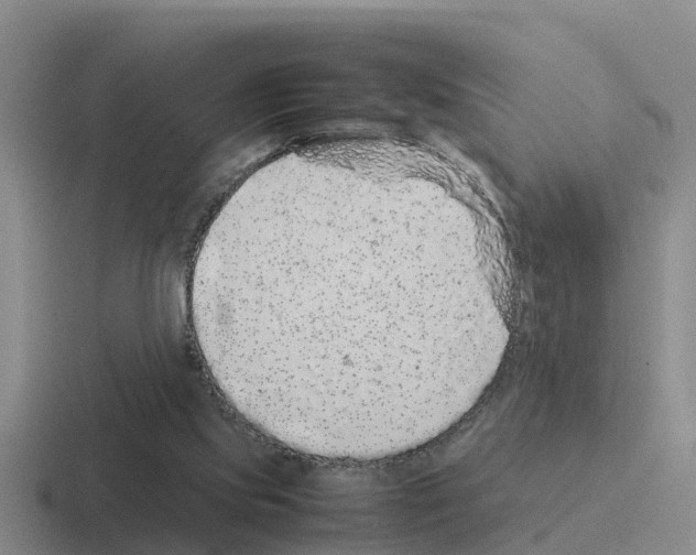 X0000116100061201001041000