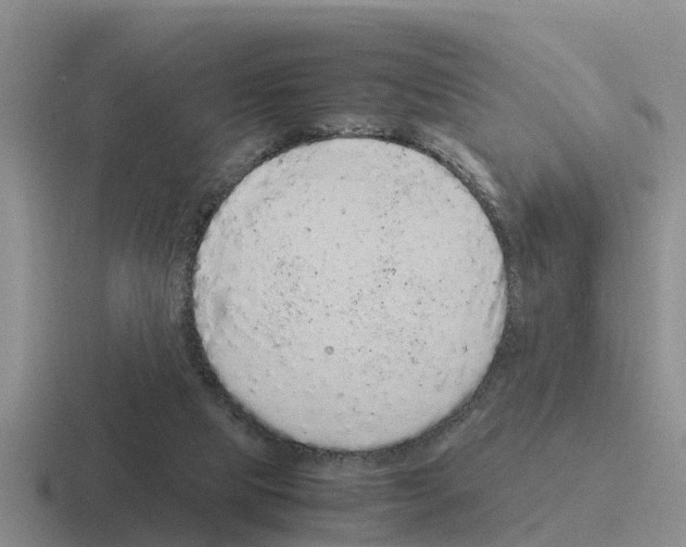 X0000116100065201001041000