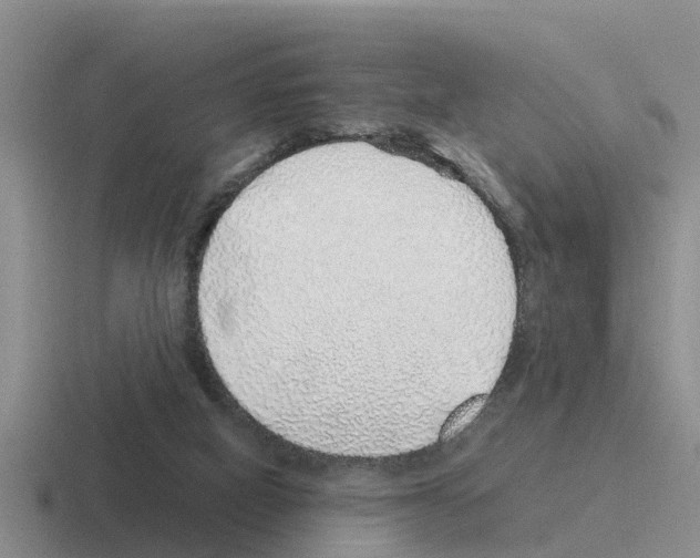 X0000116100066201001041000