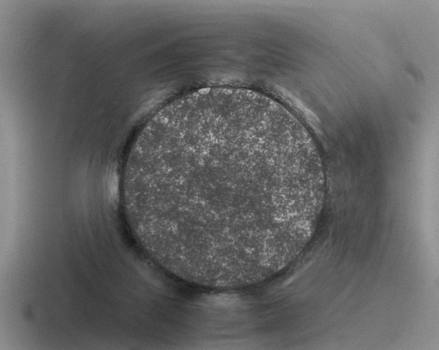 X0000116100067201001041000