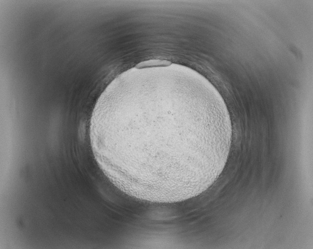 X0000116100070201001041000