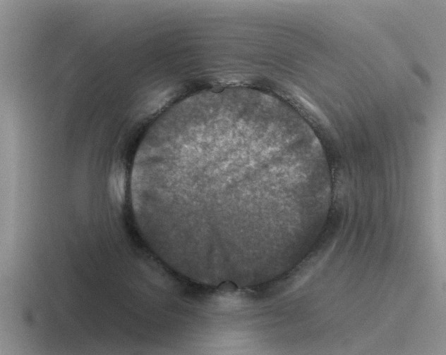 X0000116100076201001041000