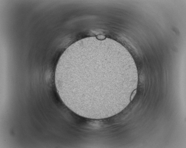 X0000116100079201001041000