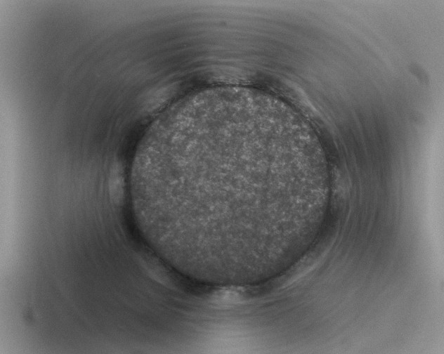 X0000116100080201001041000