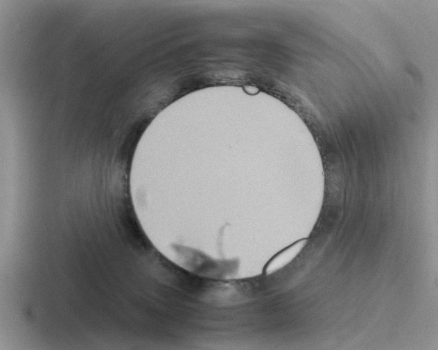 X0000116100083201001041000