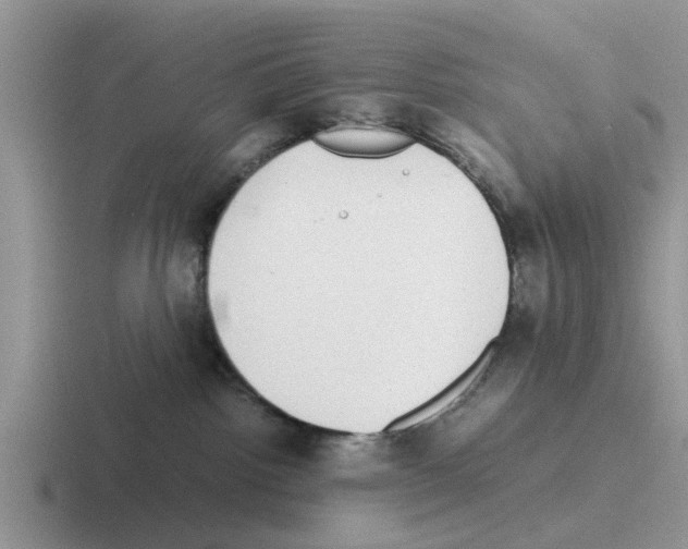 X0000116100092201001041000