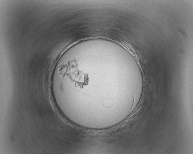 X0000116100097201001040959