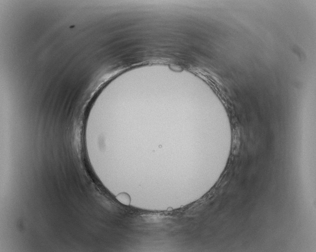 X0000116100098201001040959