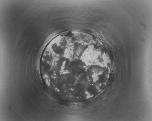 X0000116100099201001040959