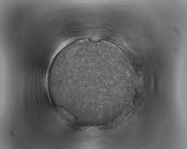 X0000116100100201001040959