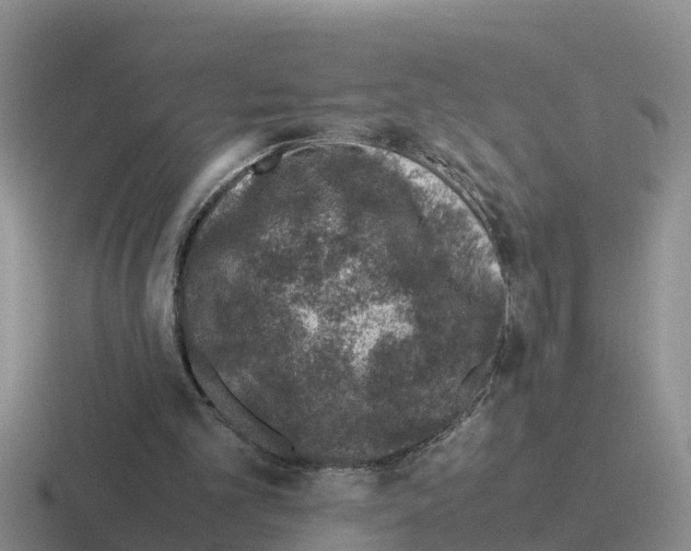 X0000116100101201001040959