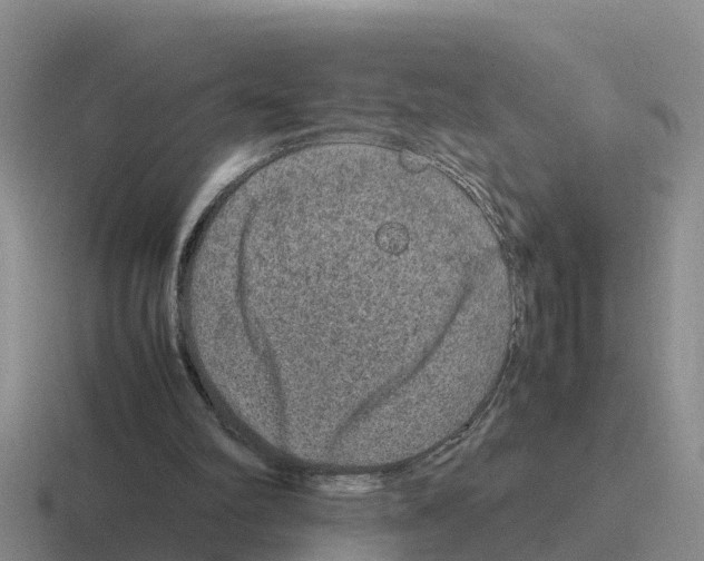 X0000116100102201001040959