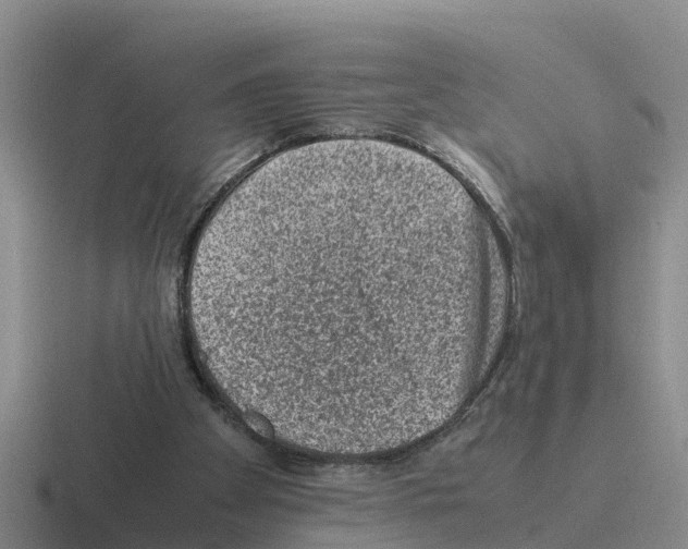 X0000116100105201001040959