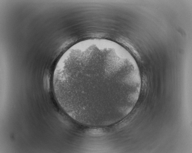 X0000116100110201001040959