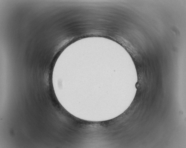 X0000116100112201001040959